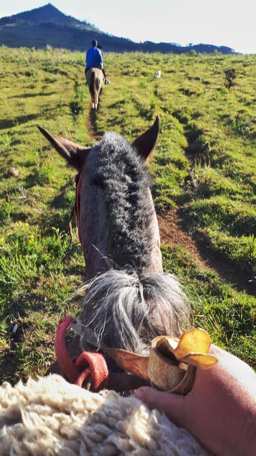 Fazenda Invernada Grande Turismo Rural Otel Bom Jardim da Serra Dış mekan fotoğraf