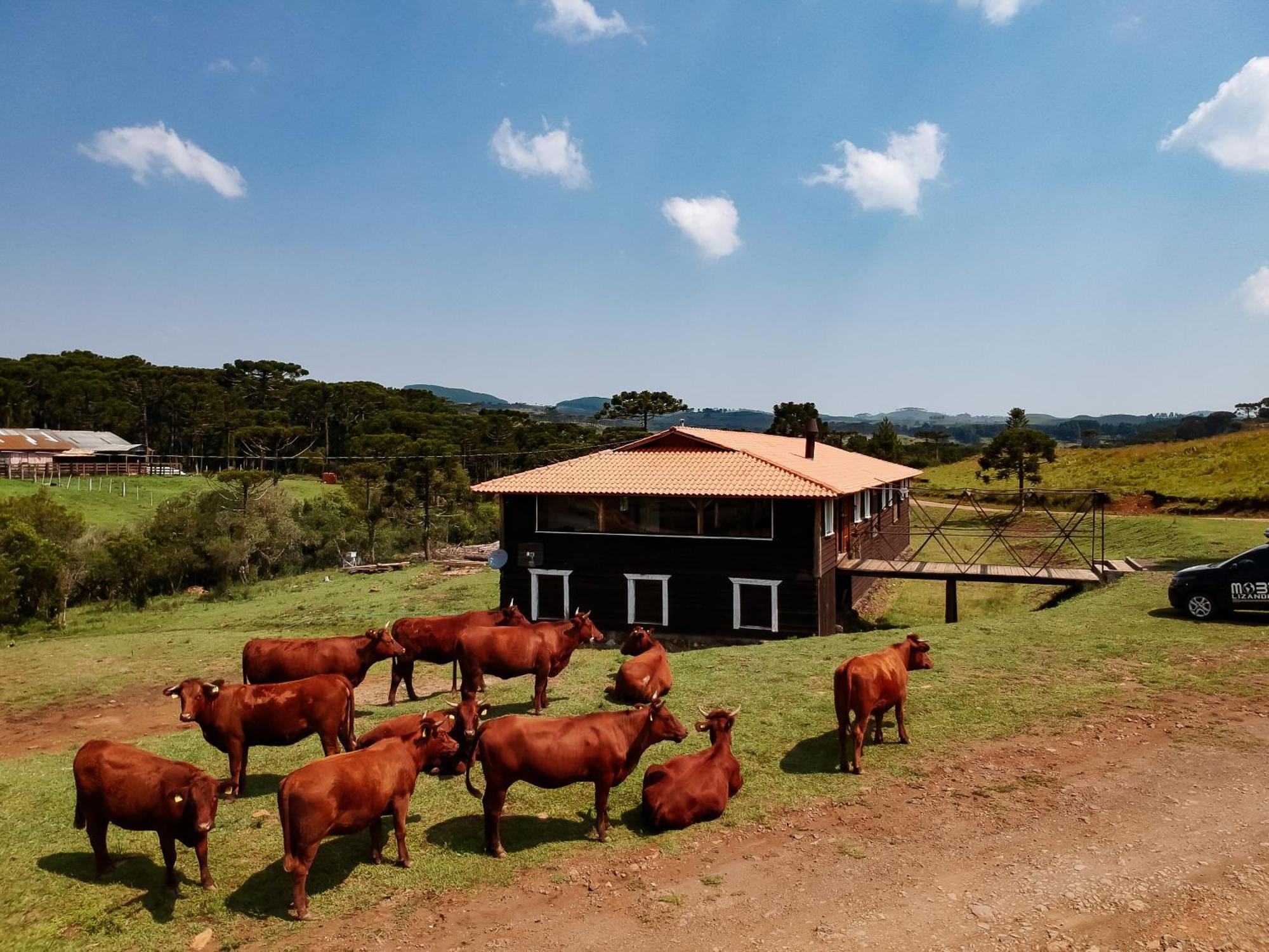 Fazenda Invernada Grande Turismo Rural Otel Bom Jardim da Serra Dış mekan fotoğraf